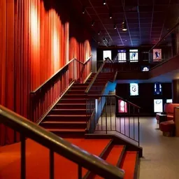 Cinema du Parc, Plateau