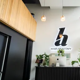 Hair Anatomy Studio des Coiffeurs et Barbiers, Downtown