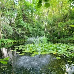 Bois-de-Liesse Nature Park, Pierrefonds