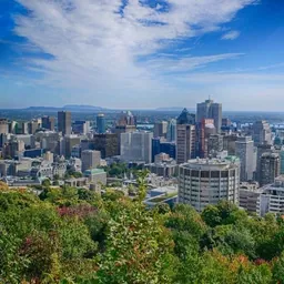 Camillien-Houde belvedere, Downtown