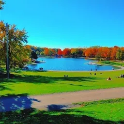 Mount Royal Park, Downtown