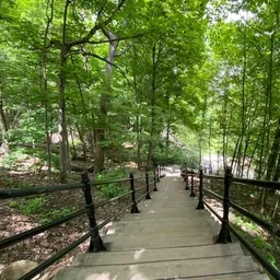 Grand Staircase of Mount Royal, Plateau