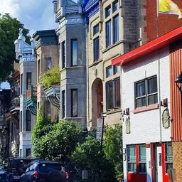 Square Saint-Louis, Le Plateau-Mont-Royal